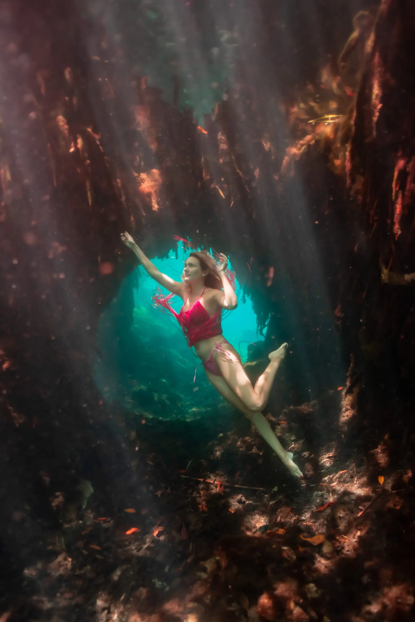 Underwater fine art photograph 12