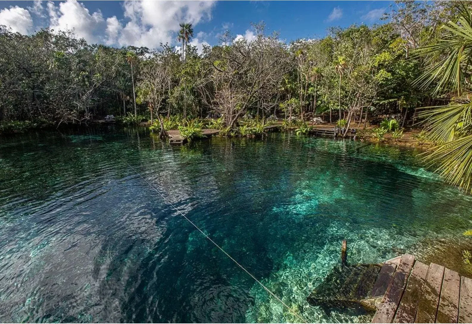 Cenote in the Riviera Maya