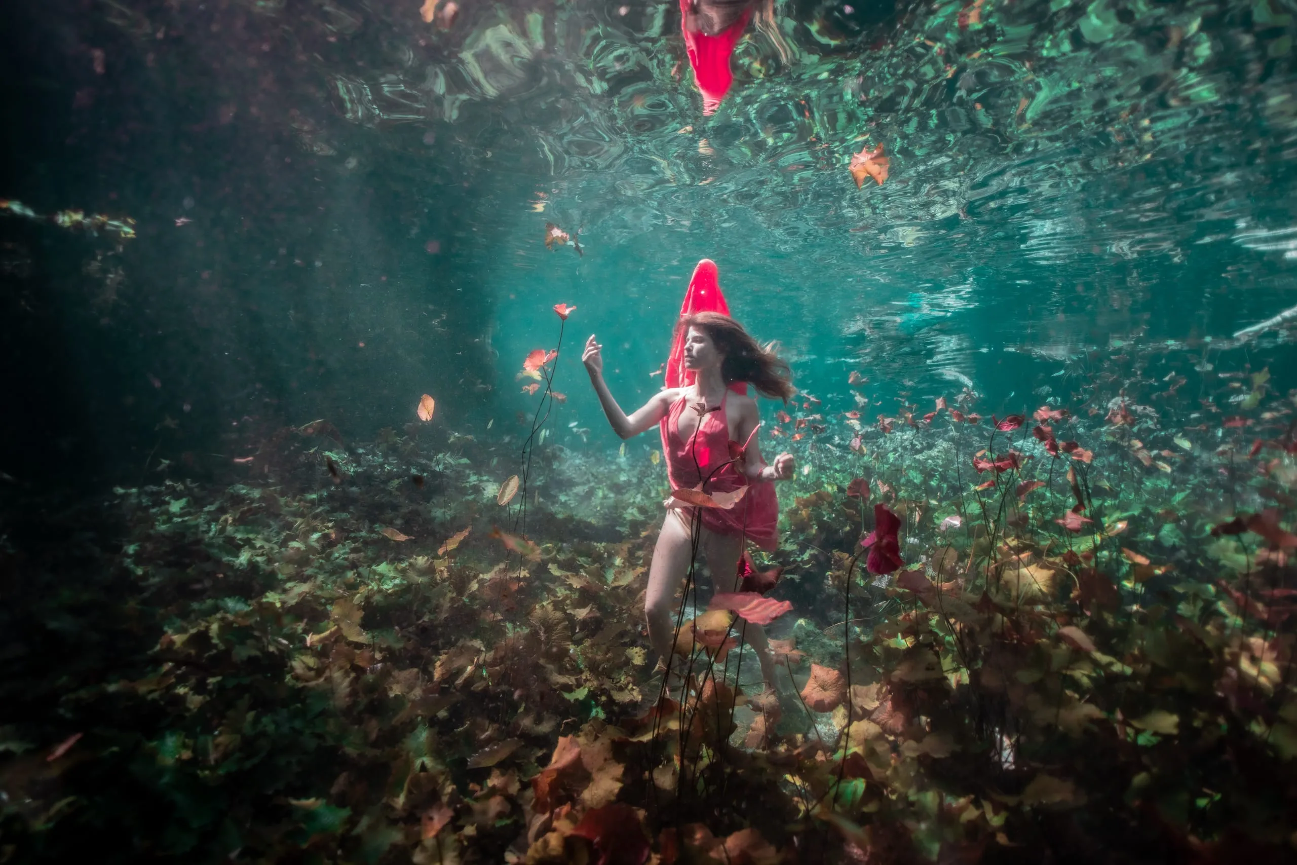 Underwater fine art photograph 58