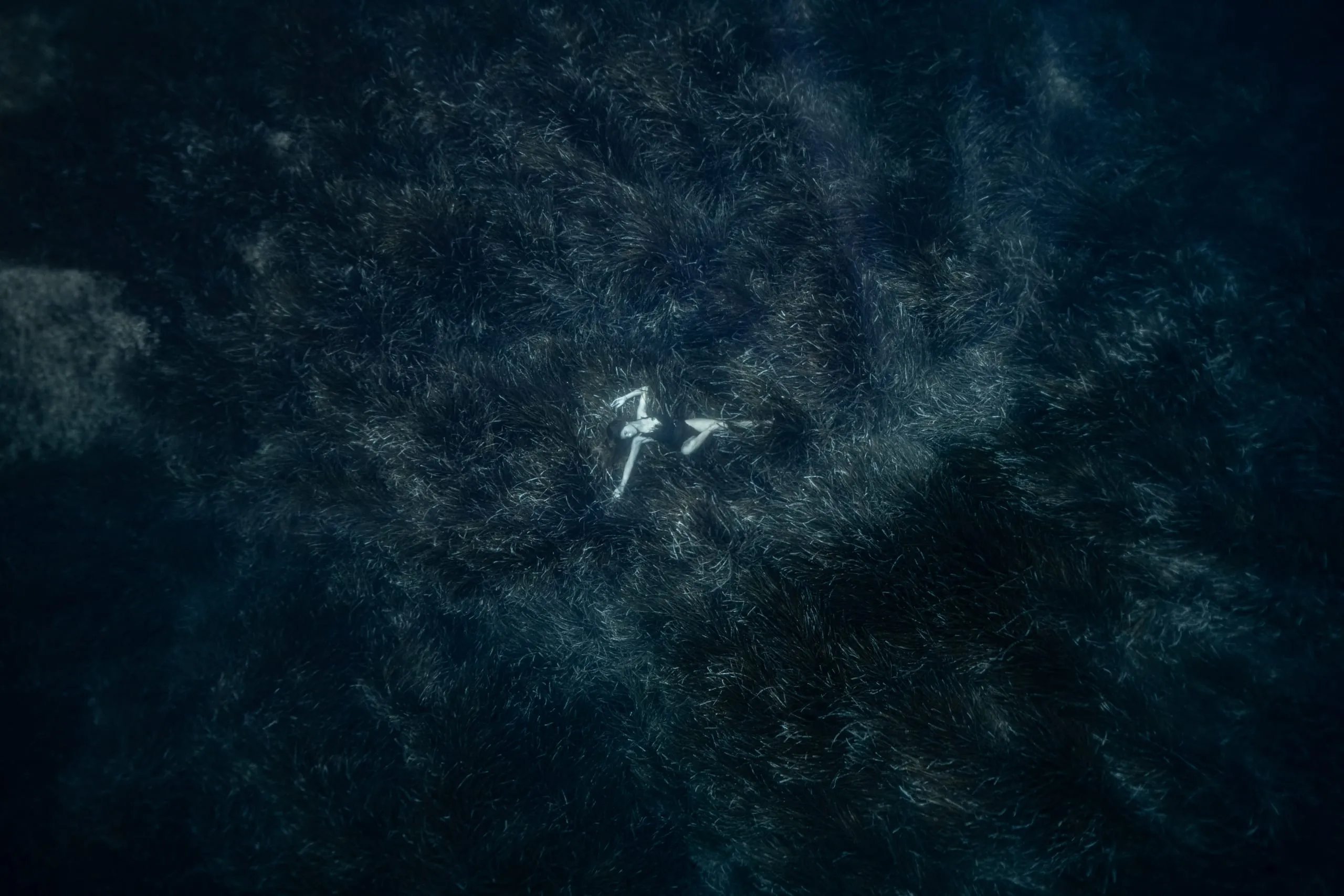 Underwater fine art photograph 77