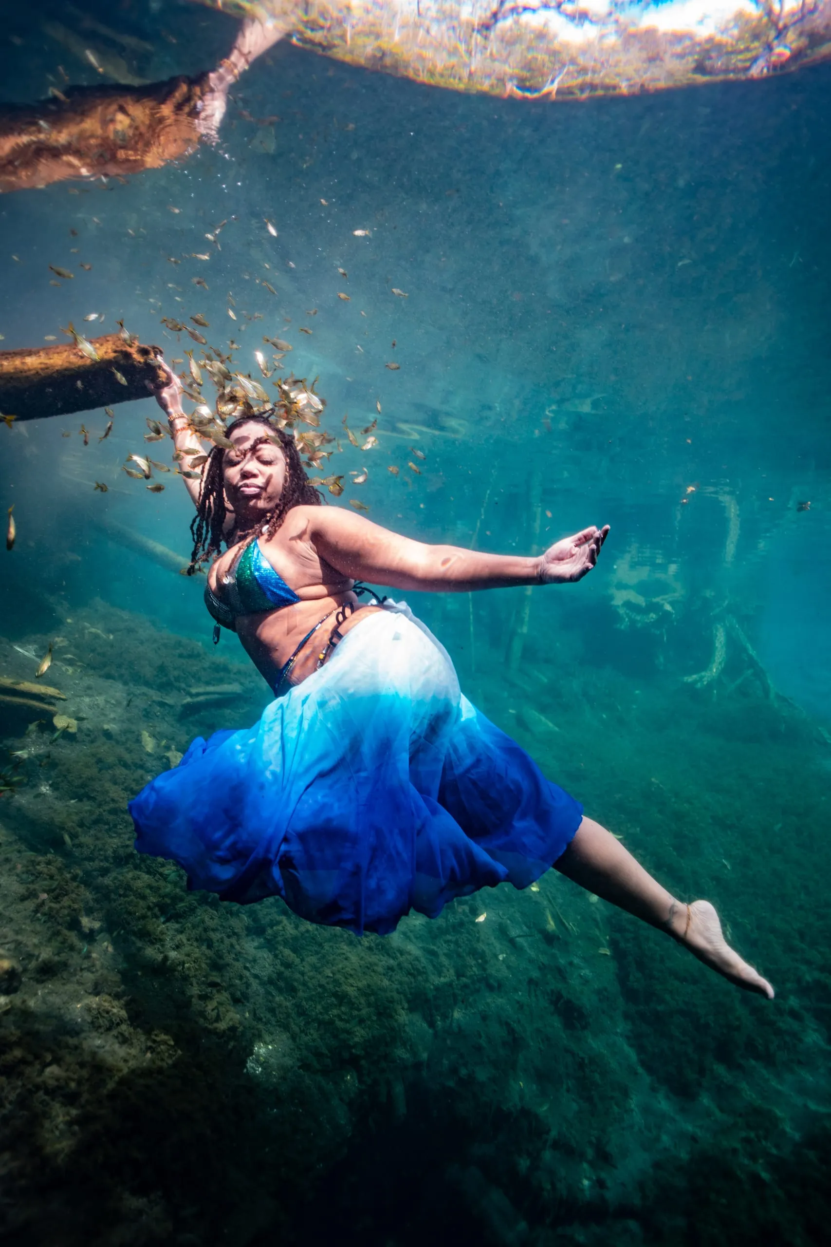 Underwater fine art photograph 84