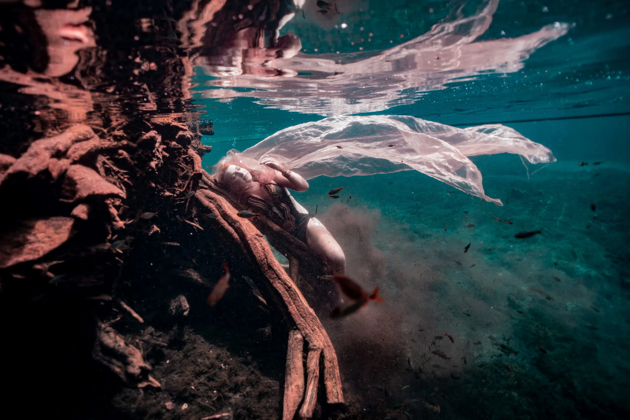 Underwater fine art photograph 103